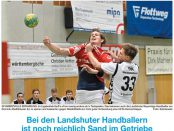 TG Landshut - DjK Waldbüttelbrunn Bayernliga Herren 2016/2017